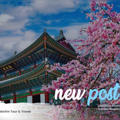 Artikel Marlim Tour Travel 1