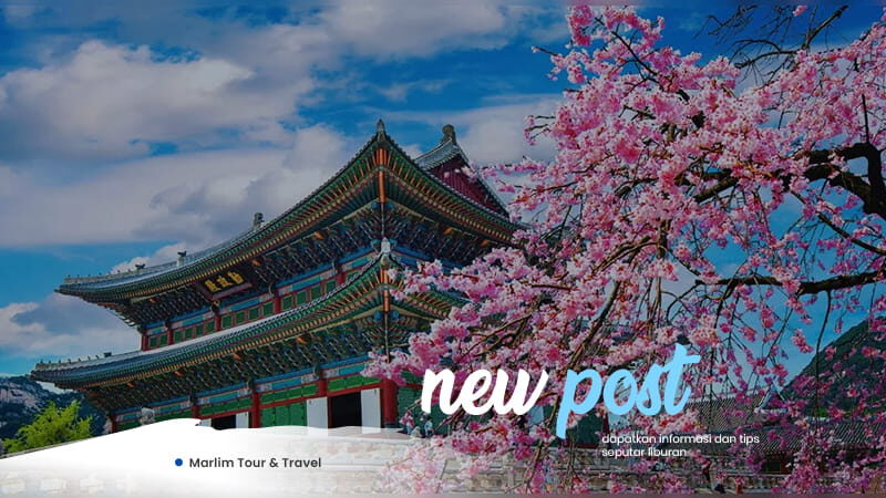 Artikel Marlim Tour Travel 1